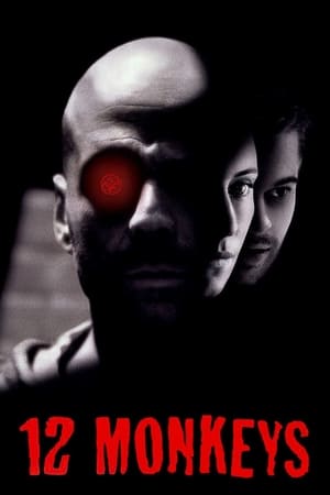 12 Monkeys (1995) Dual Audio | Dubbed Hindi Movie BluRay 400MB
