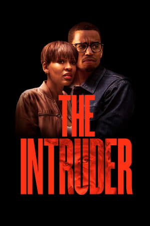 The Intruder (2019) Dual Audio | Dubbed Hindi Movie Web-DL [960MB]